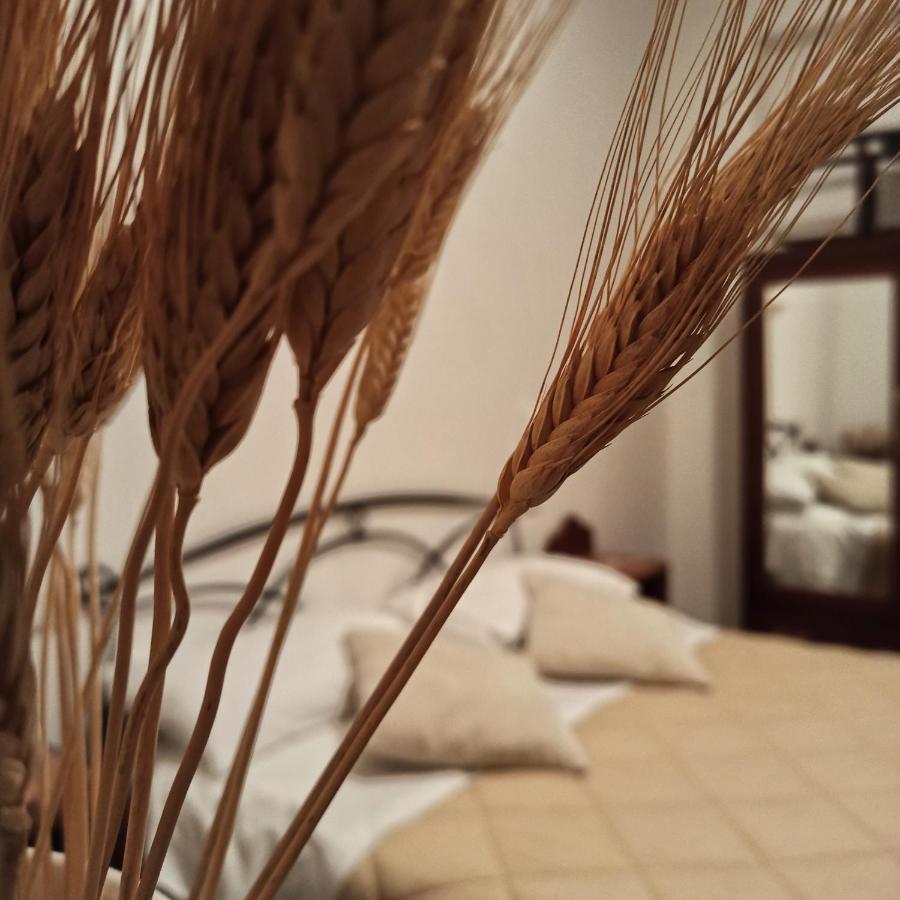 B&B La Masseria Del '700 Castiglione a Casauria Εξωτερικό φωτογραφία